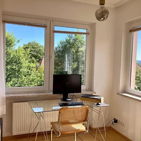 Rosa Бад-Закса