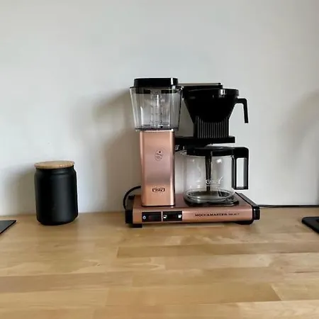 Rosa * Бад-Закса