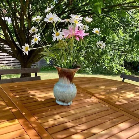 Rosa Prázdninový dům *